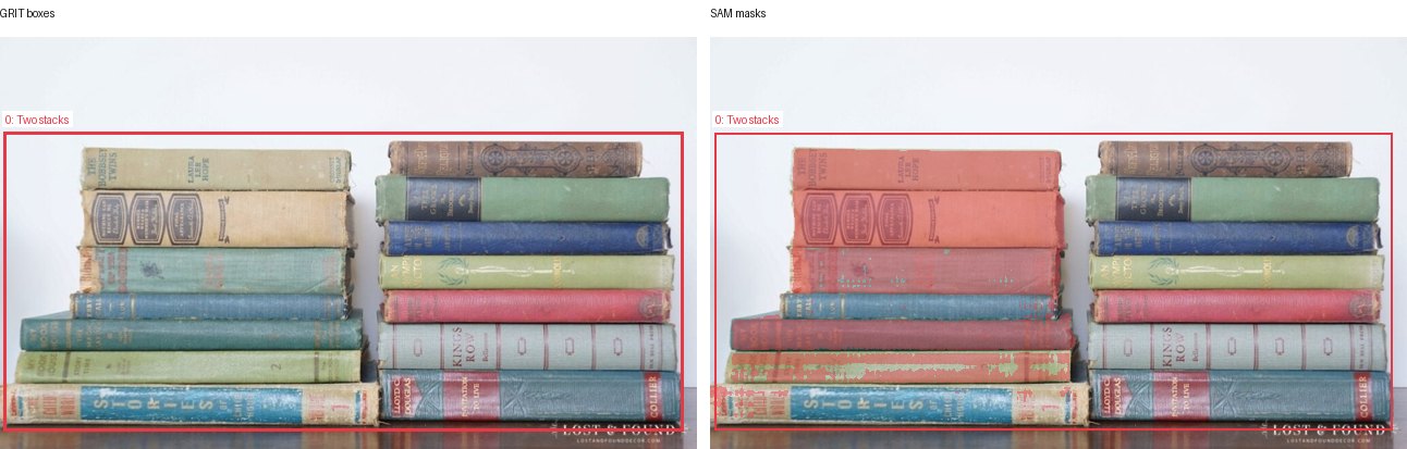 GRIT boxes and SAM masks