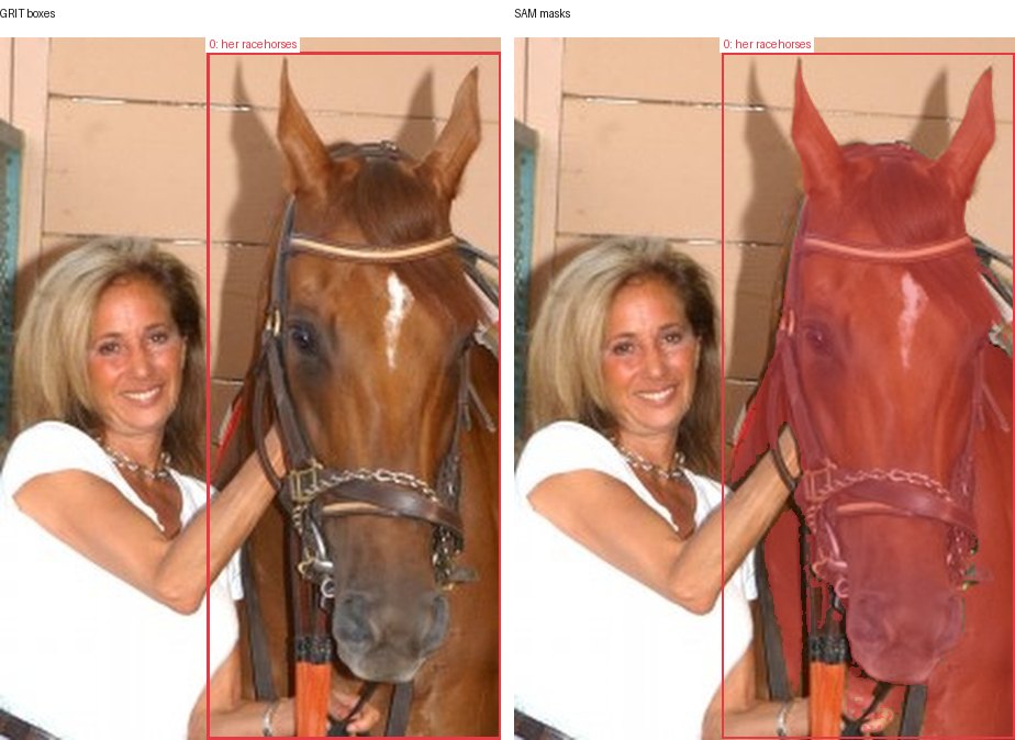GRIT boxes and SAM masks