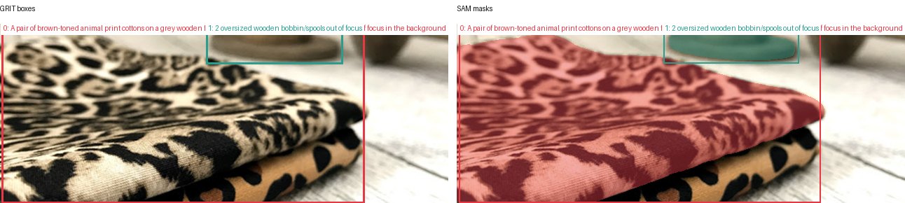 GRIT boxes and SAM masks