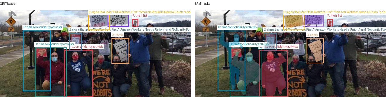 GRIT boxes and SAM masks