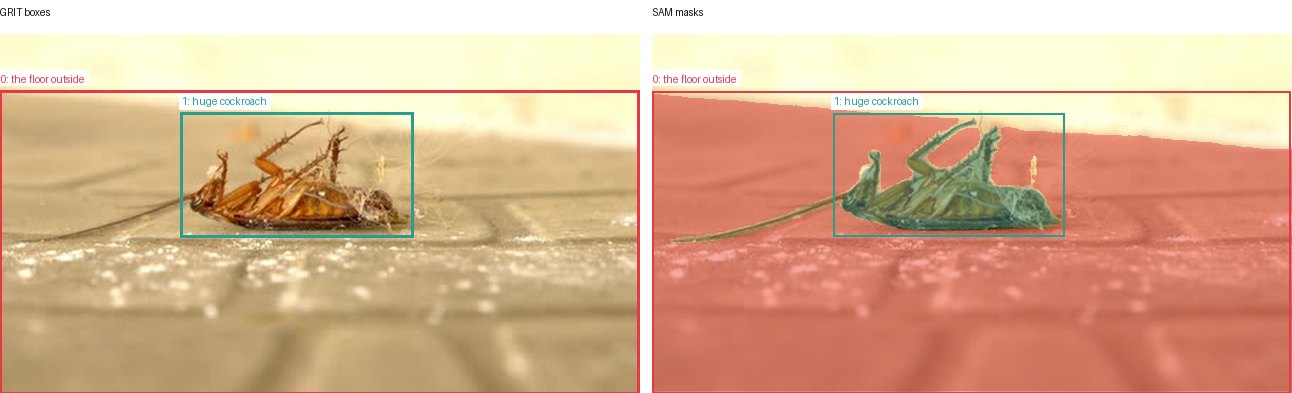 GRIT boxes and SAM masks