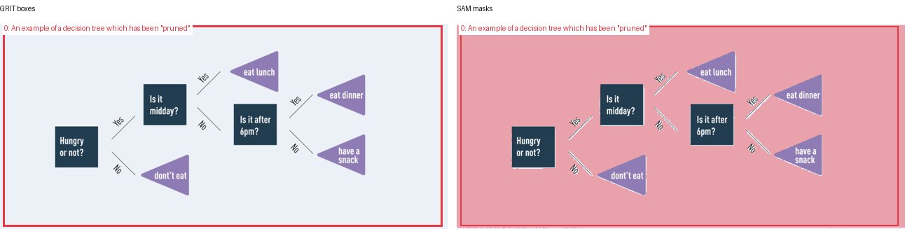 GRIT boxes and SAM masks