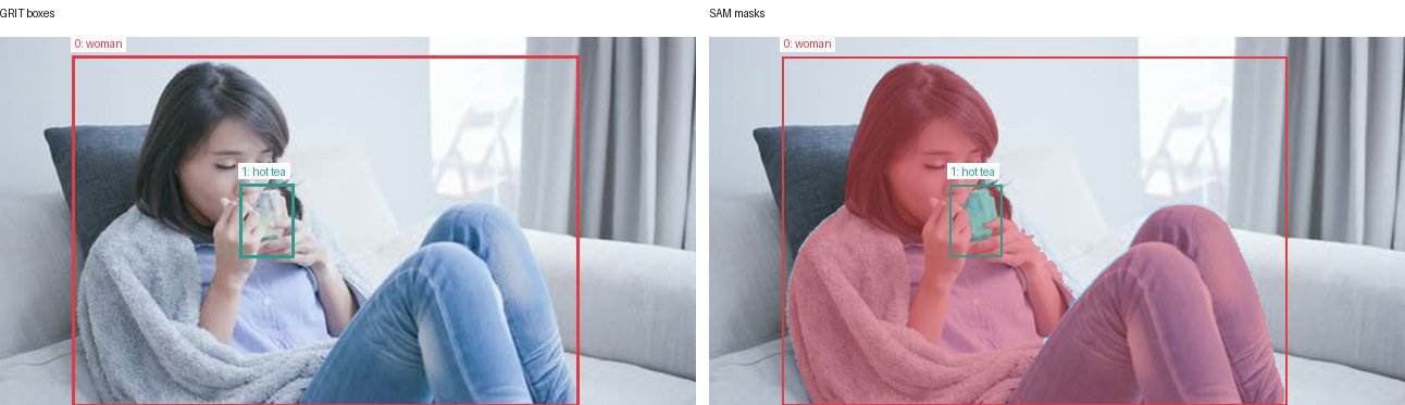 GRIT boxes and SAM masks