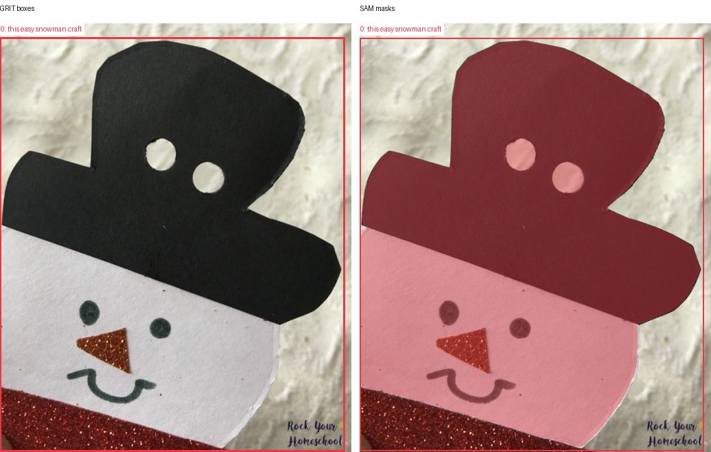 GRIT boxes and SAM masks