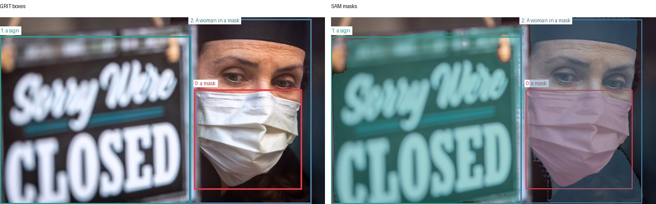 GRIT boxes and SAM masks