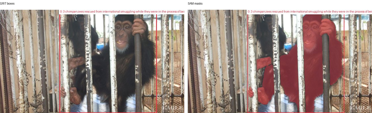GRIT boxes and SAM masks