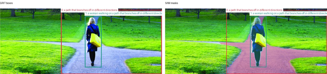 GRIT boxes and SAM masks