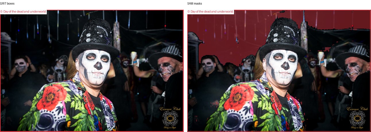 GRIT boxes and SAM masks