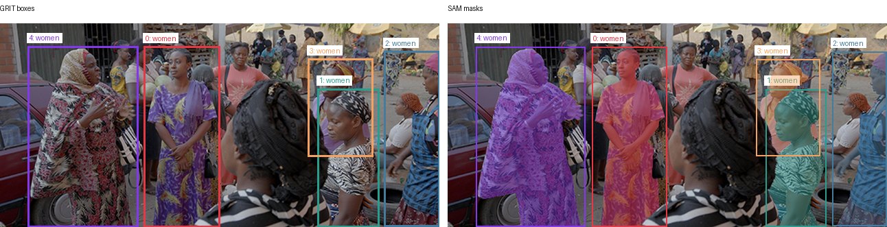 GRIT boxes and SAM masks