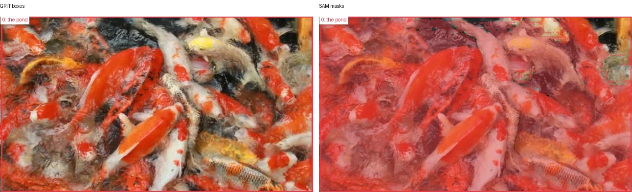 GRIT boxes and SAM masks