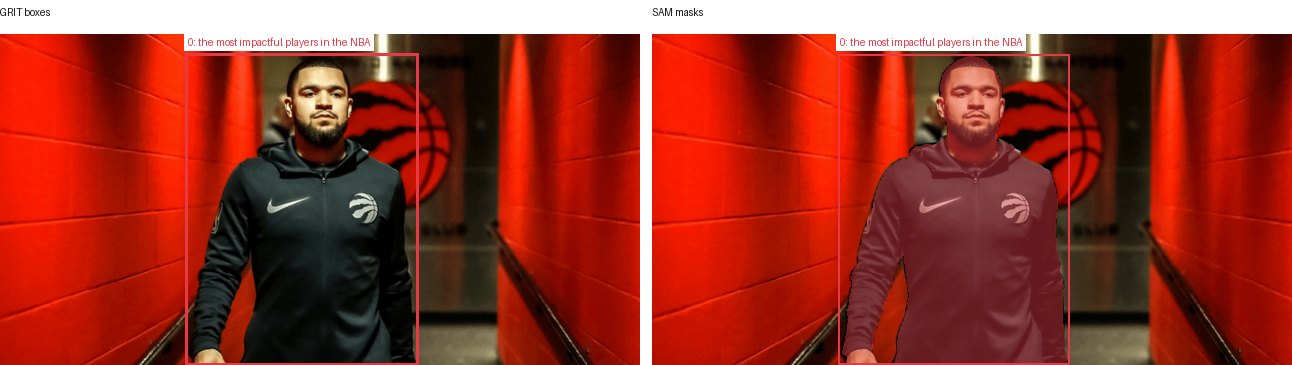GRIT boxes and SAM masks