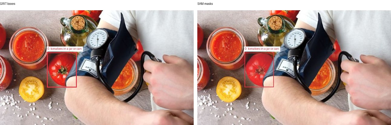 GRIT boxes and SAM masks