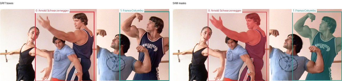 GRIT boxes and SAM masks