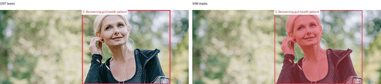 GRIT boxes and SAM masks