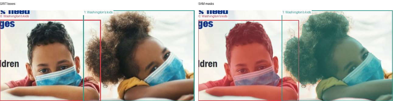 GRIT boxes and SAM masks