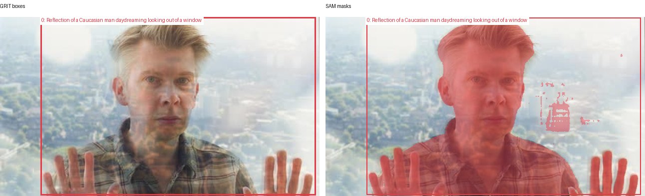 GRIT boxes and SAM masks