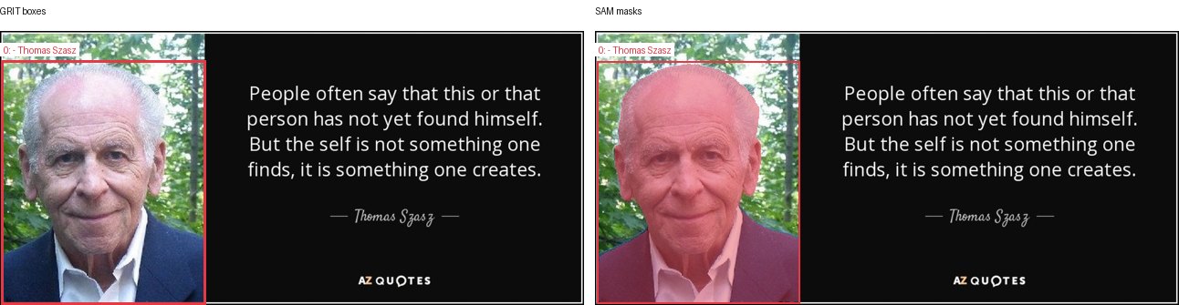 GRIT boxes and SAM masks
