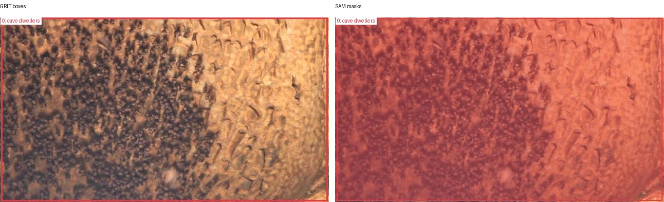 GRIT boxes and SAM masks