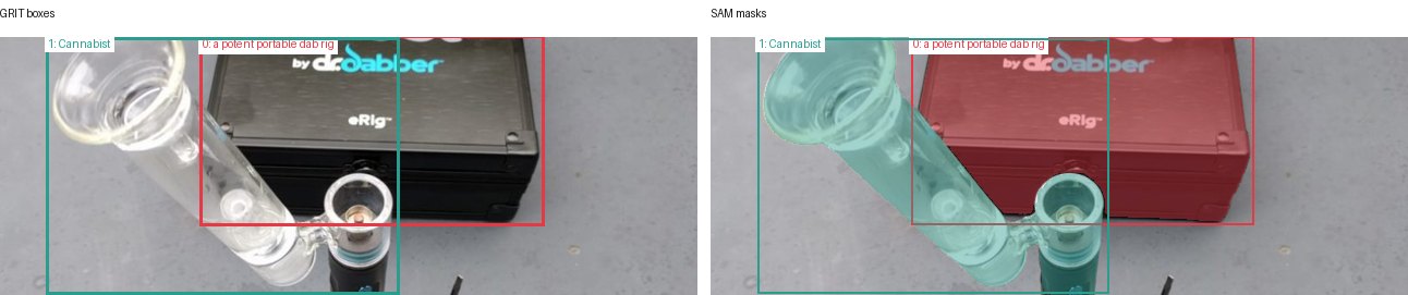 GRIT boxes and SAM masks