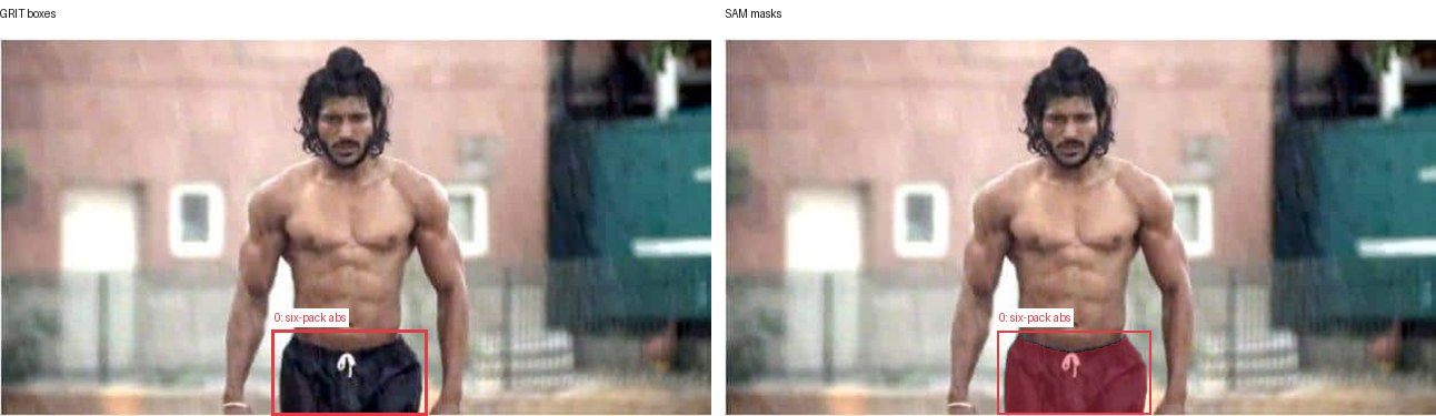 GRIT boxes and SAM masks
