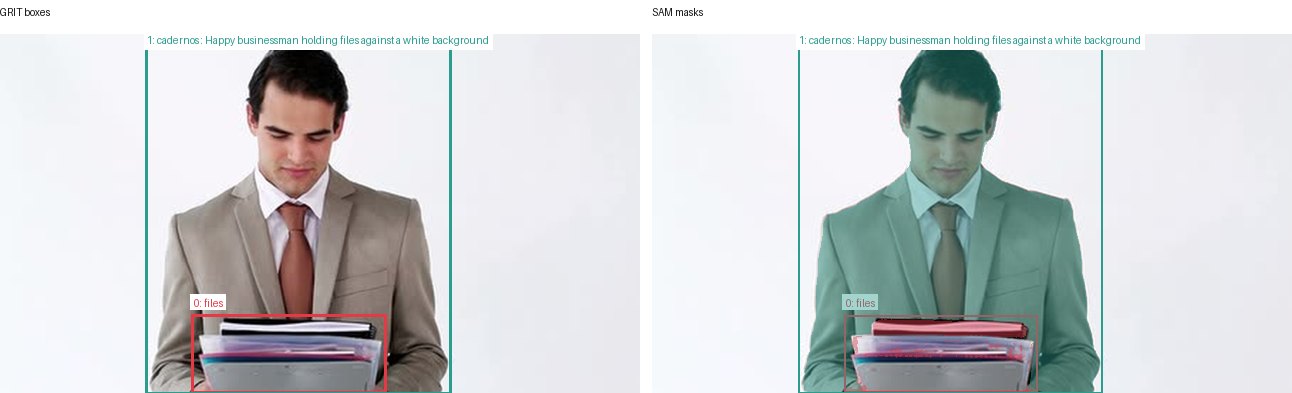 GRIT boxes and SAM masks