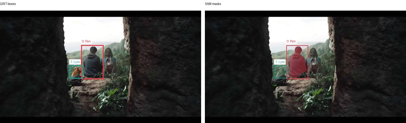 GRIT boxes and SAM masks