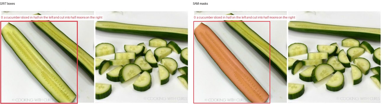 GRIT boxes and SAM masks