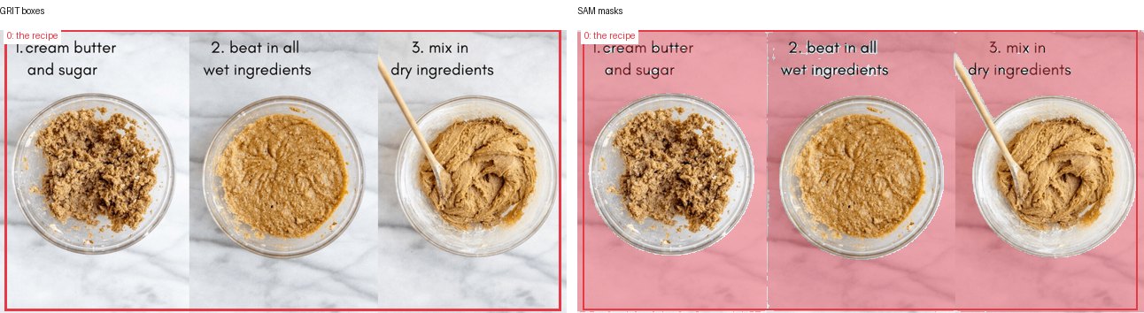 GRIT boxes and SAM masks