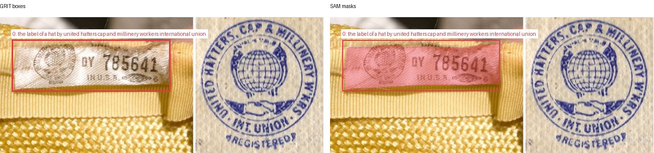 GRIT boxes and SAM masks