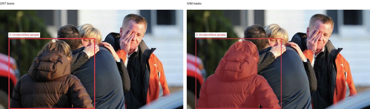 GRIT boxes and SAM masks