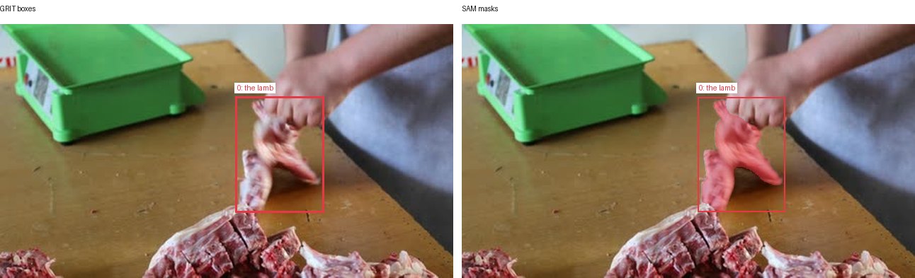 GRIT boxes and SAM masks