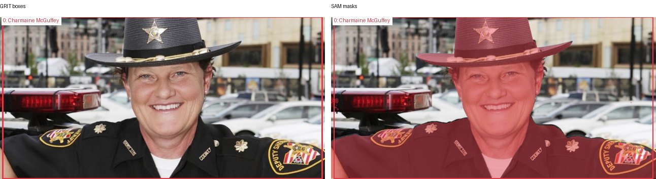 GRIT boxes and SAM masks