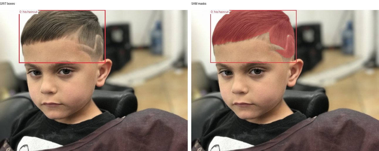 GRIT boxes and SAM masks
