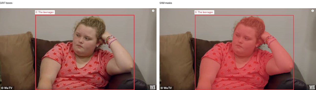 GRIT boxes and SAM masks