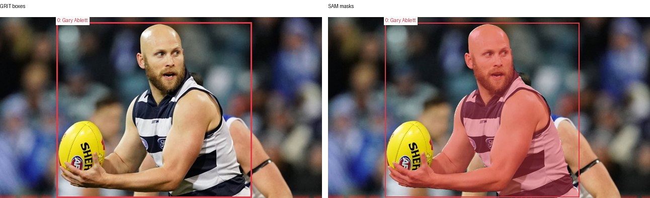 GRIT boxes and SAM masks