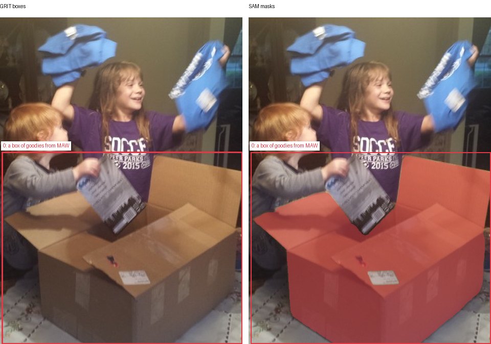 GRIT boxes and SAM masks