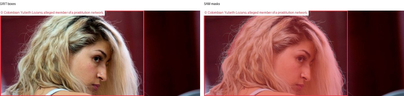 GRIT boxes and SAM masks