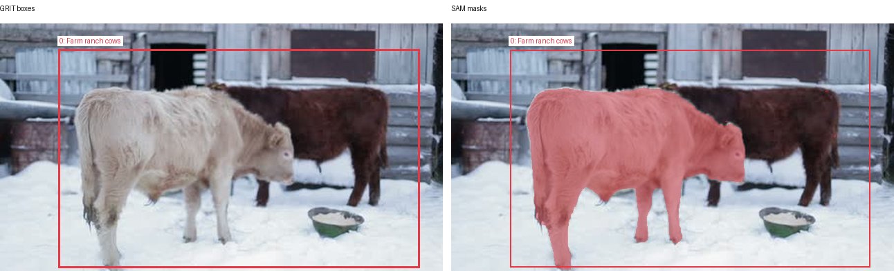 GRIT boxes and SAM masks