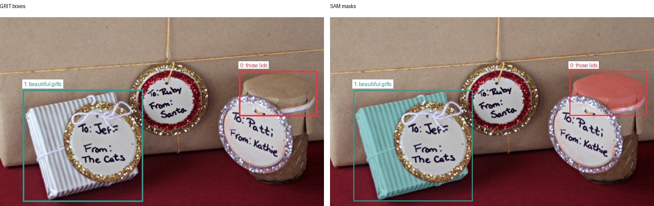 GRIT boxes and SAM masks