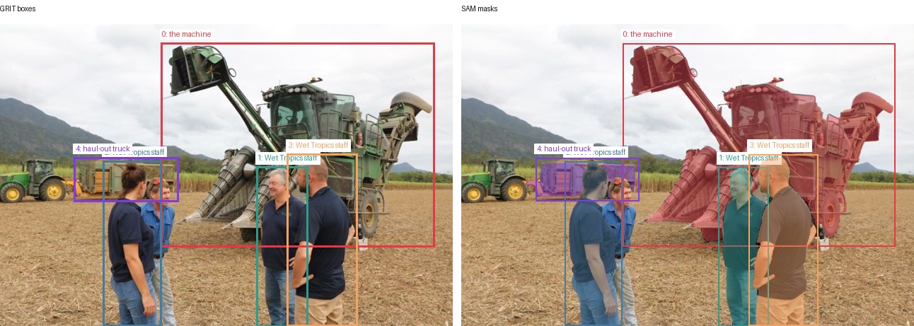 GRIT boxes and SAM masks