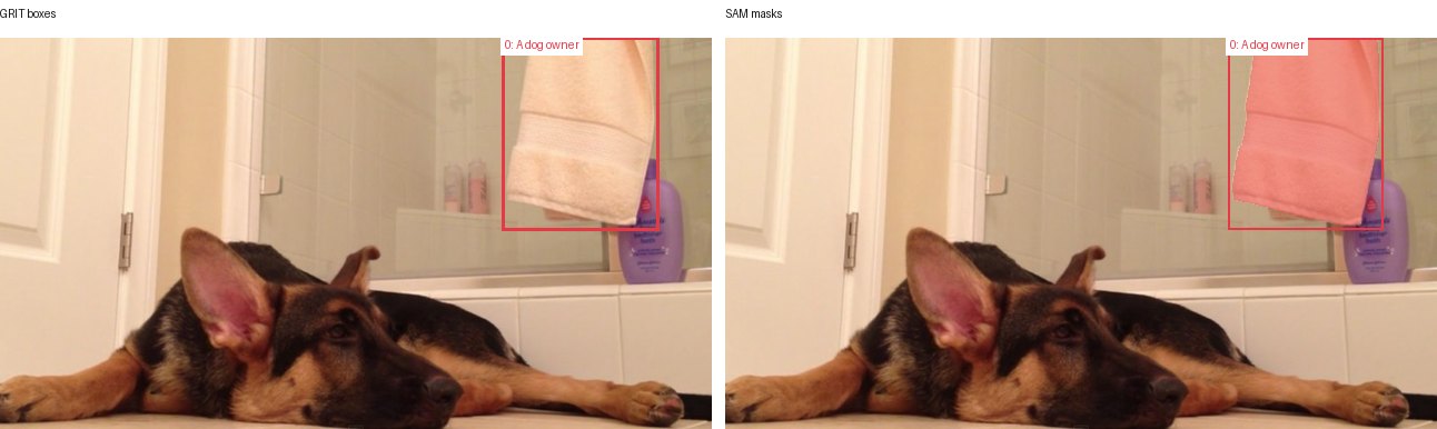 GRIT boxes and SAM masks