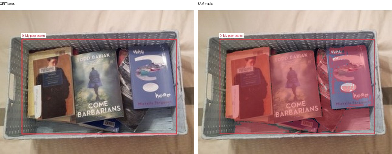 GRIT boxes and SAM masks