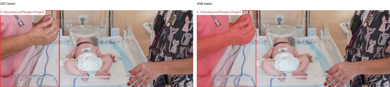 GRIT boxes and SAM masks