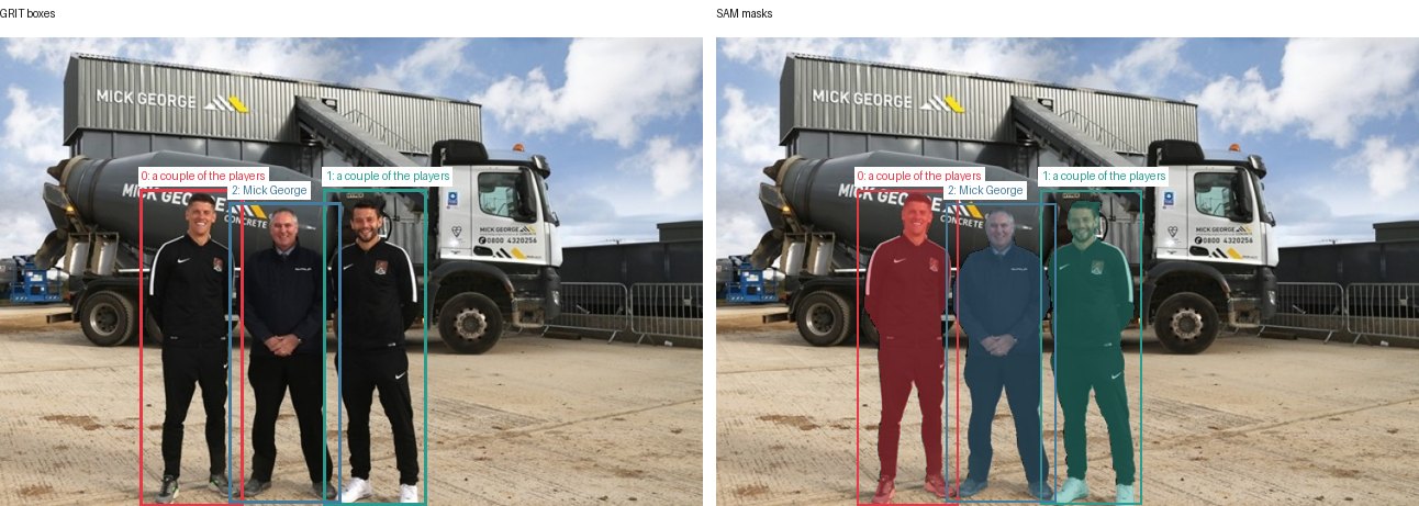 GRIT boxes and SAM masks