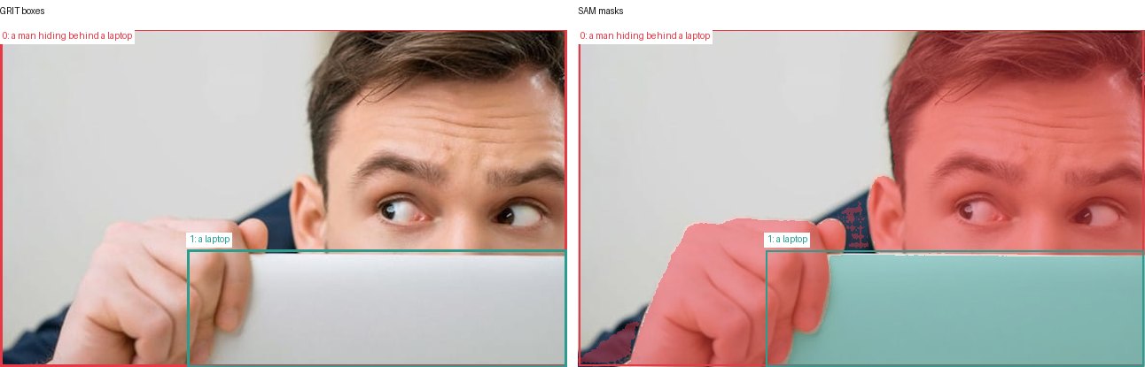 GRIT boxes and SAM masks