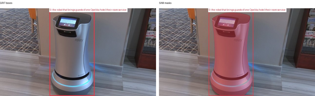 GRIT boxes and SAM masks
