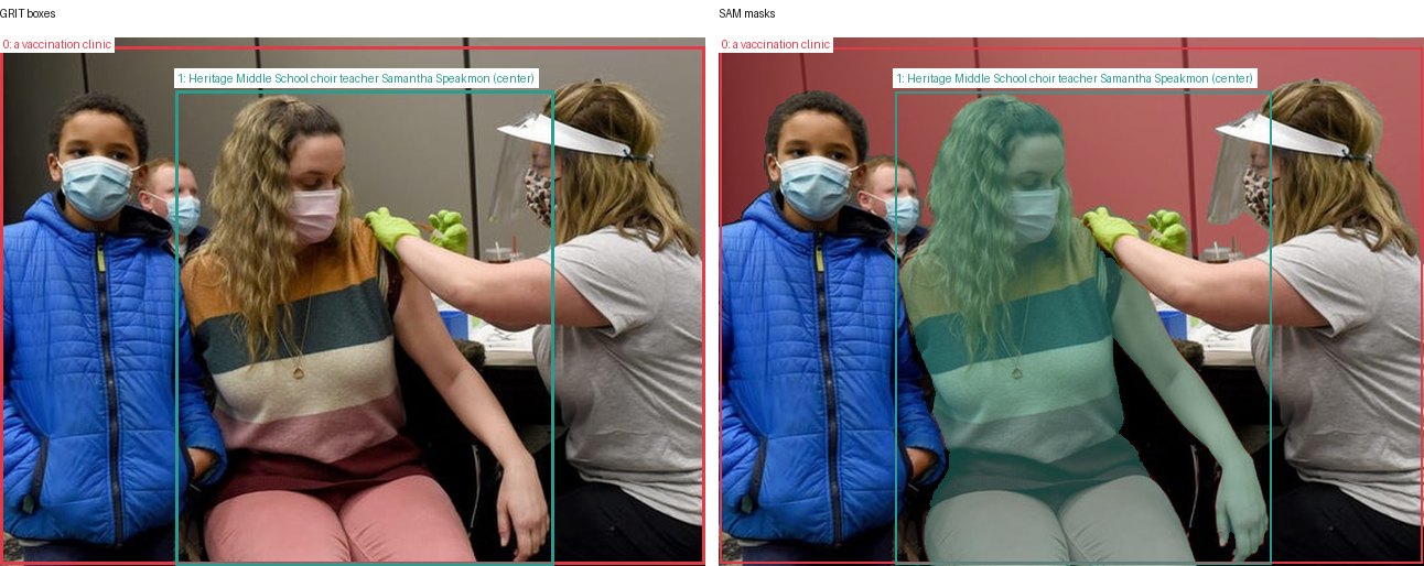 GRIT boxes and SAM masks