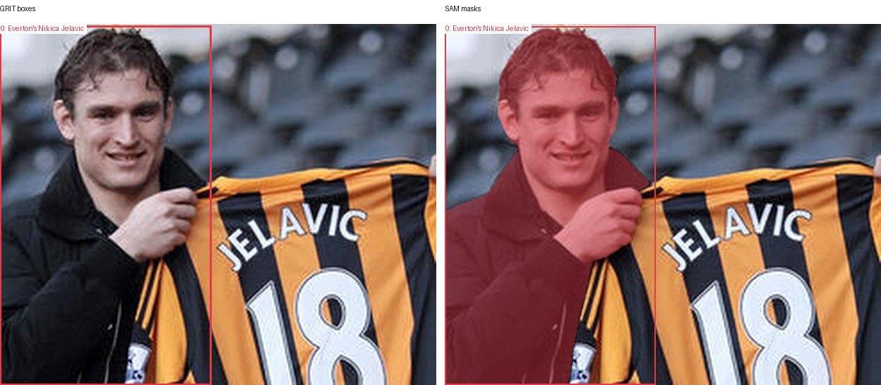 GRIT boxes and SAM masks