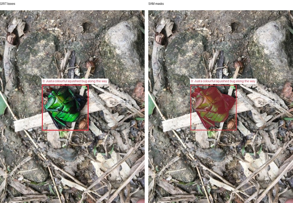 GRIT boxes and SAM masks