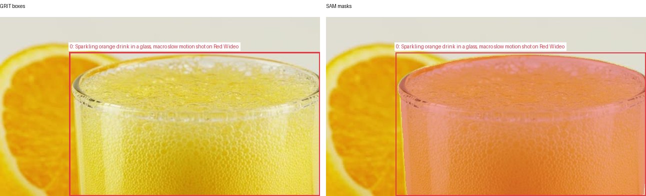 GRIT boxes and SAM masks